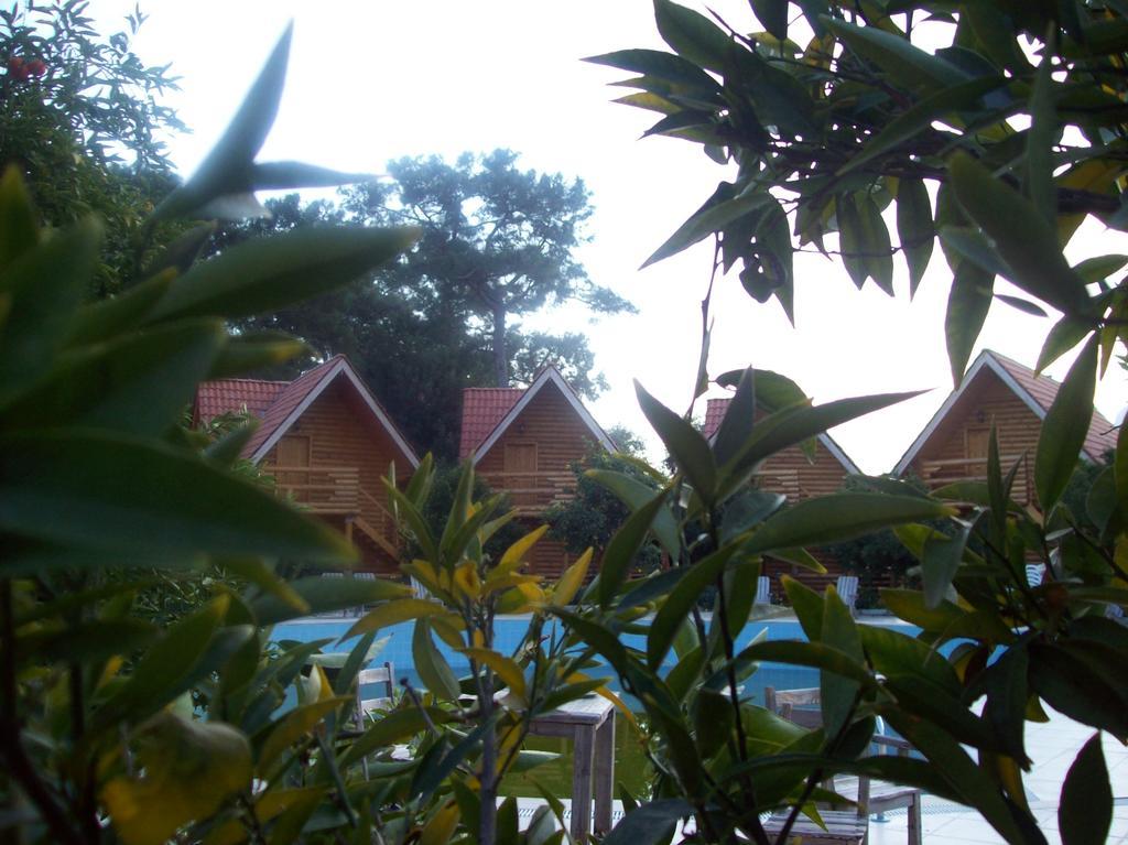 Woodline Hotel Goynuk  Εξωτερικό φωτογραφία