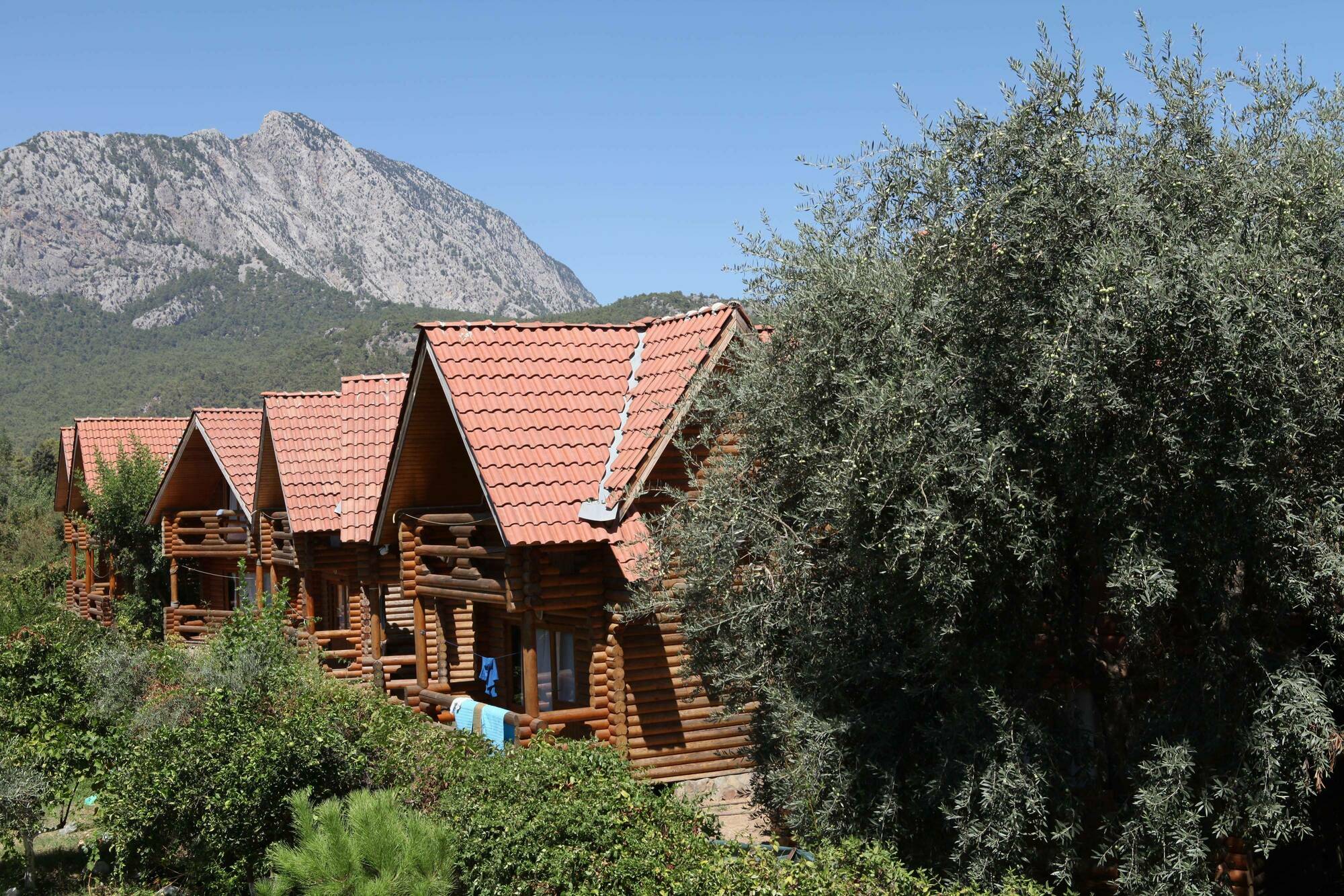 Woodline Hotel Goynuk  Εξωτερικό φωτογραφία