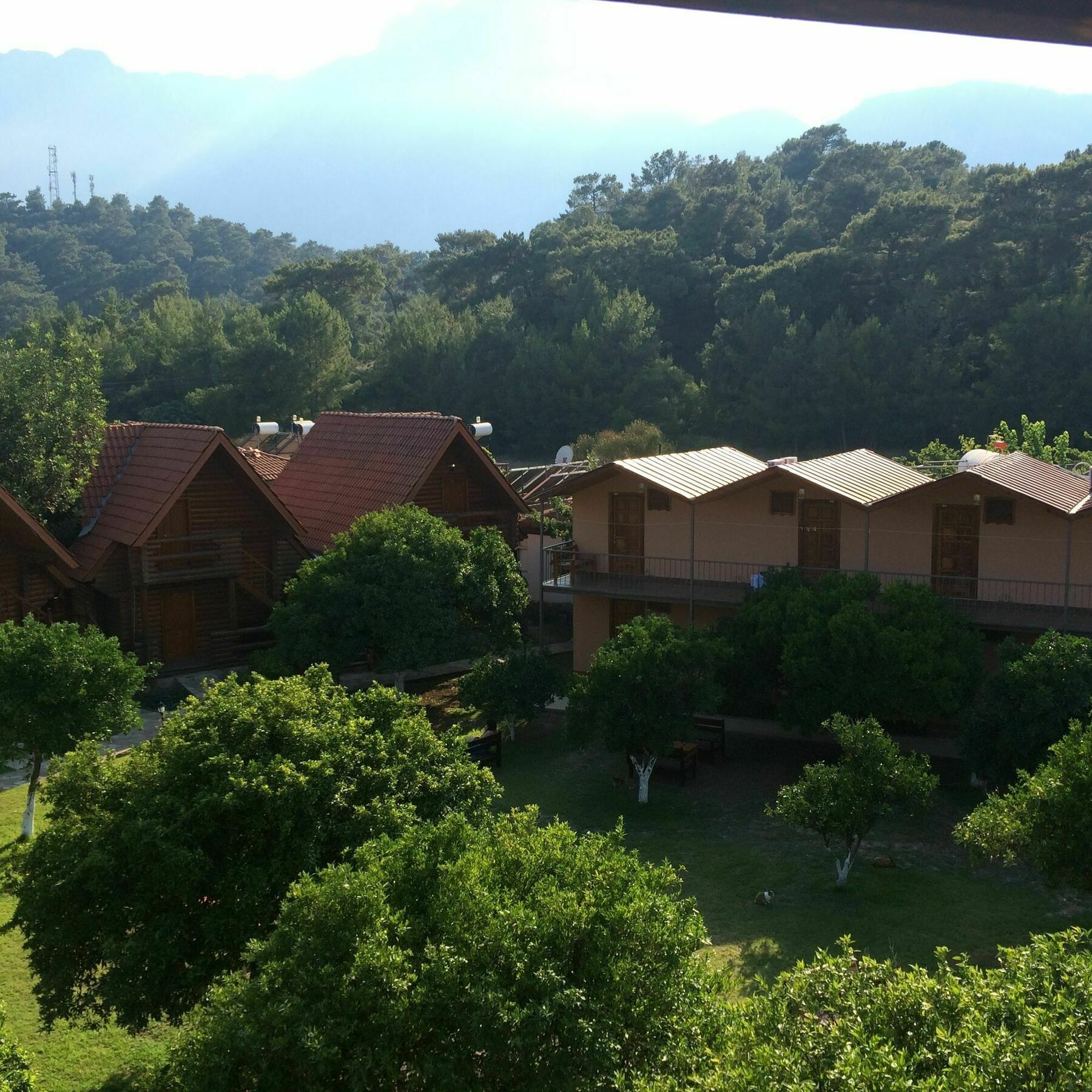 Woodline Hotel Goynuk  Εξωτερικό φωτογραφία